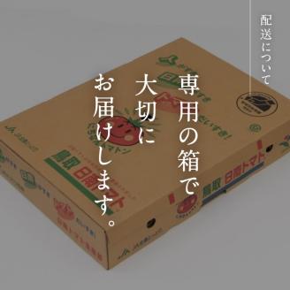 【北海道・離島へ発送不可】【期間限定】日南トマト　約4kg（20～24玉／箱） トマト とまと 鳥取県 日南町