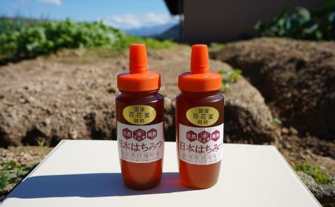 日南町の大自然の中で育った日本ミツバチの百花蜜 200g×2本 はちみつ ハチミツ 蜂蜜