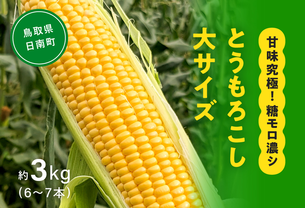 甘味究極！ 糖モロ濃シ 大サイズ 3kg(6～7本)【とうもろこし】朝どれ直送 スイートコーン 産地直送 【配送不可地域：離島】 鳥取県日南町 星の農園