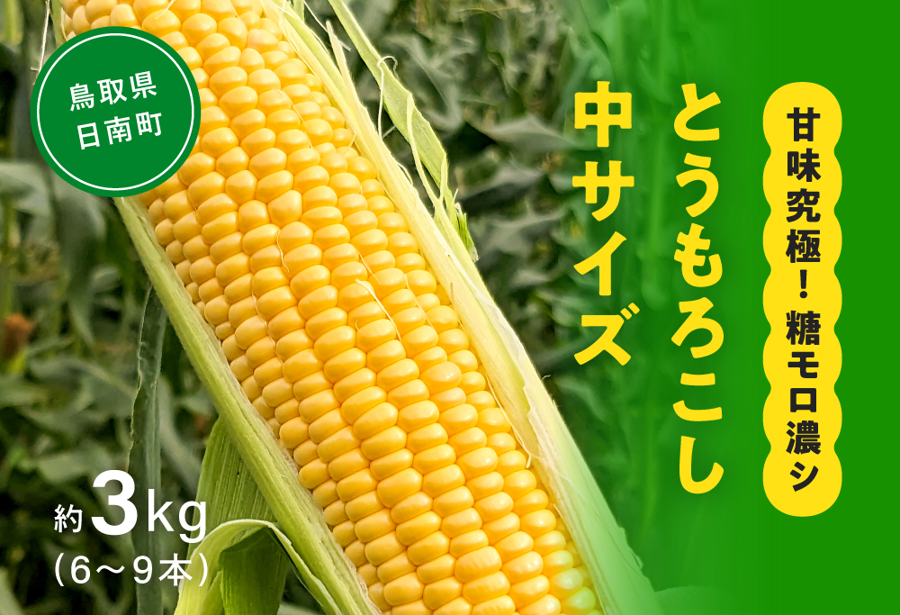 甘味究極！ 糖モロ濃シ 中サイズ 3kg(6～9本)【とうもろこし】朝どれ直送 スイートコーン 産地直送 【配送不可地域：離島】 鳥取県日南町 星の農園