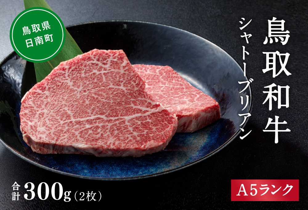A5ランク 鳥取和牛シャトーブリアン 2枚 合計300g 牛肉 精肉 肉 カタセイ シャトーブリアン ヒレステーキ ヒレ ステーキ 肉 フィレステーキ ステーキ お肉 和牛 高級ヒレステーキ ヒレ肉 最高級 黒毛和牛 牛肉 お肉