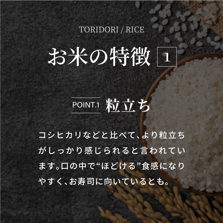 【真空パック】令和7年産 新米 鳥取県産きぬむすめ 米 キヌムスメ 20kg 返礼品 米 お米 おこめ こめ 真空パック包装 備蓄 防災 長期保存 単一原料米 ローリングストック 鳥取県日野町