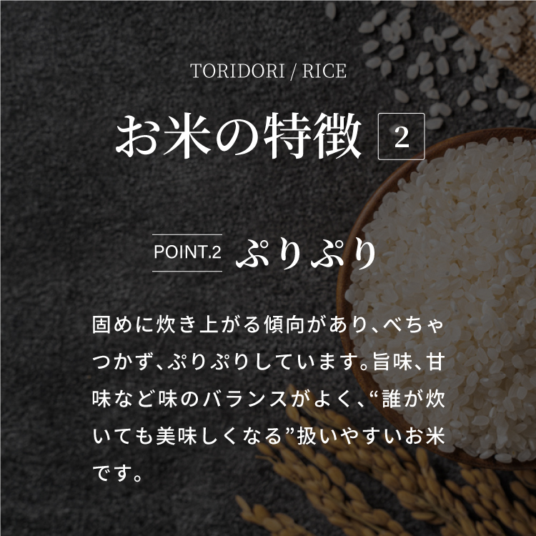 【真空パック】令和7年産 新米 鳥取県産きぬむすめ 米 キヌムスメ 10kg 返礼品 米 お米 おこめ こめ 真空パック包装 備蓄 防災 長期保存 単一原料米 ローリングストック 鳥取県日野町