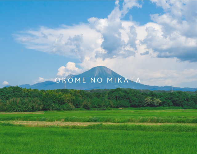 【5営業日以内発送】新米 令和7年産 鳥取県産コシヒカリ 10kg 返礼品 米 お米 おこめ こめ こしひかり おこめのみかた 鳥取県日野町