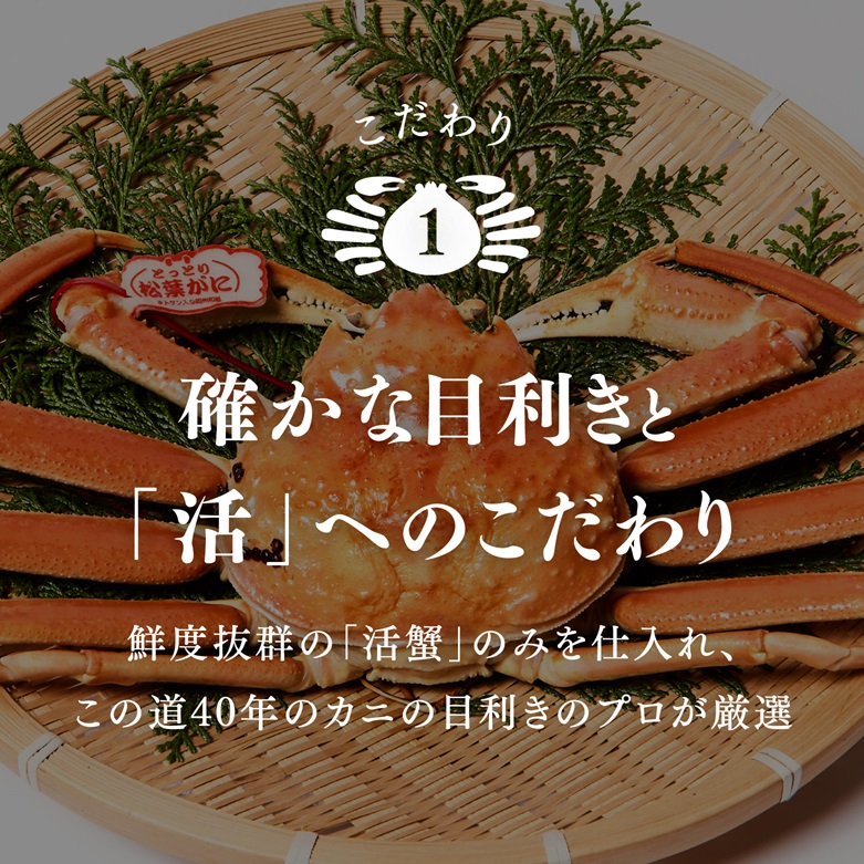 【2025年1月15日以降順次発送】【タグ付き】活〆ボイル松葉蟹(大) 800g以上 【北海道・沖縄・離島配送不可】 松葉ガニ 松葉がに カニ かに 境港 マルツ 鳥取県日野町