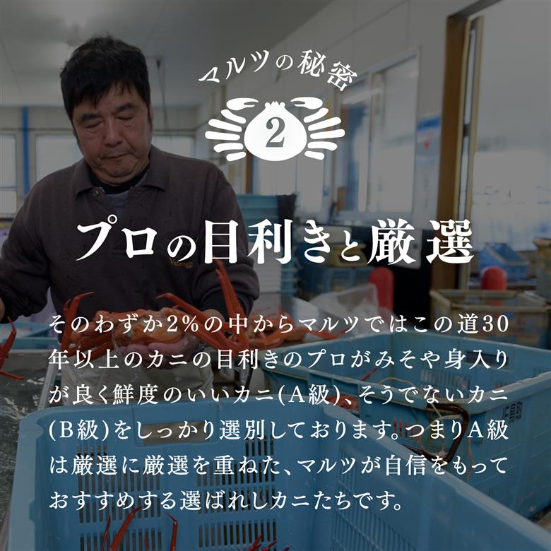 【北海道・沖縄・離島配送不可】蟹屋の釜茹で紅ずわい蟹２杯セット(大) 500～600g×2枚 ベニズワイガニ 紅ずわいがに カニ かに 境港 マルツ ボイルズワイガニ 鳥取県日野町