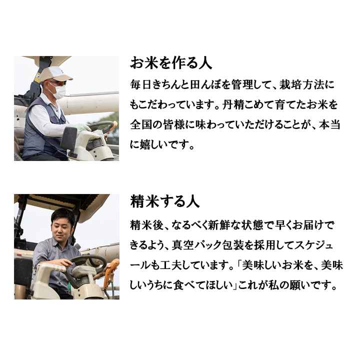 【真空パック】令和7年産 新米 鳥取県産きぬむすめ 米 キヌムスメ 20kg 返礼品 米 お米 おこめ こめ 真空パック包装 備蓄 防災 長期保存 単一原料米 ローリングストック 鳥取県日野町
