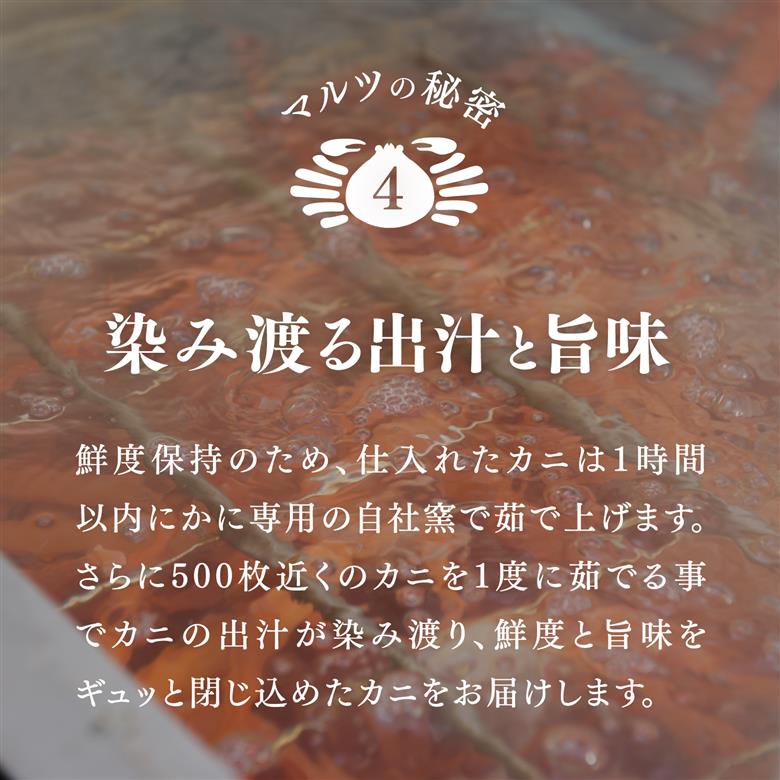 【訳あり】蟹屋の釜茹で紅ずわい蟹1.8kg箱詰めセット 600g前後×3枚 【北海道・沖縄・離島配送不可】 ベニズワイガニ 紅ずわいがに カニ かに 境港 マルツ ボイルズワイガニ 鳥取県日野町