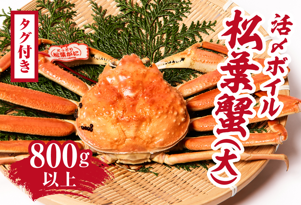 【2025年1月15日以降順次発送】【タグ付き】活〆ボイル松葉蟹(大) 800g以上 【北海道・沖縄・離島配送不可】 松葉ガニ 松葉がに カニ かに 境港 マルツ 鳥取県日野町