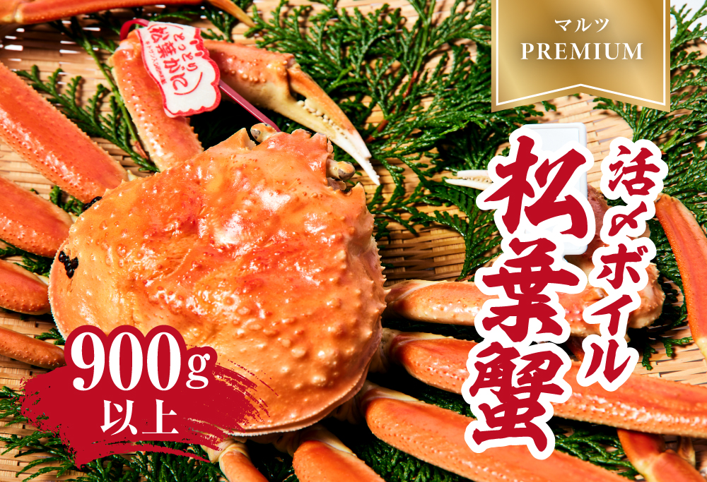 【2025年1月15日以降順次発送】【マルツPREMIUM】タグ付き 活〆ボイル松葉蟹 900g以上 【北海道・沖縄・離島配送不可】 松葉ガニ 松葉がに 蟹 カニ かに 境港 マルツ 鳥取県日野町