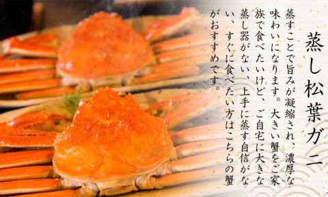 【蒸し】タグ付き松葉ガニ 大2枚 (1枚800～940g 前後) 先行予約受付 ズワイガニ かに 11月上旬～3月上旬発送 TM2 0712