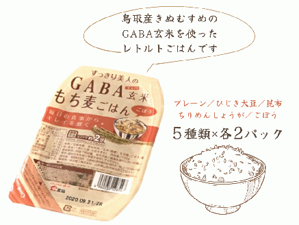 GABA玄米もち麦パックごはん 5種類セット（10パック入り）きぬむすめ JA 0938