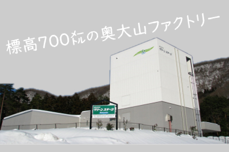 奥大山の天然水100％の氷（1.1ｋｇ×6袋）0204