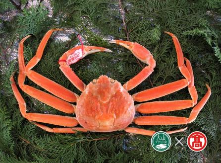 茹で松葉がに約750g×1枚 （大山ブランド会）カニ 蟹 米子高島屋  92-BI2 0895