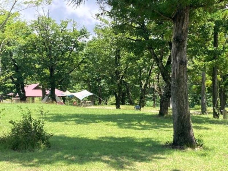 休暇村奥大山割引券 3000円分 （宿泊・食事・キャンプに使用可）（発行日より１年間有効）　0220