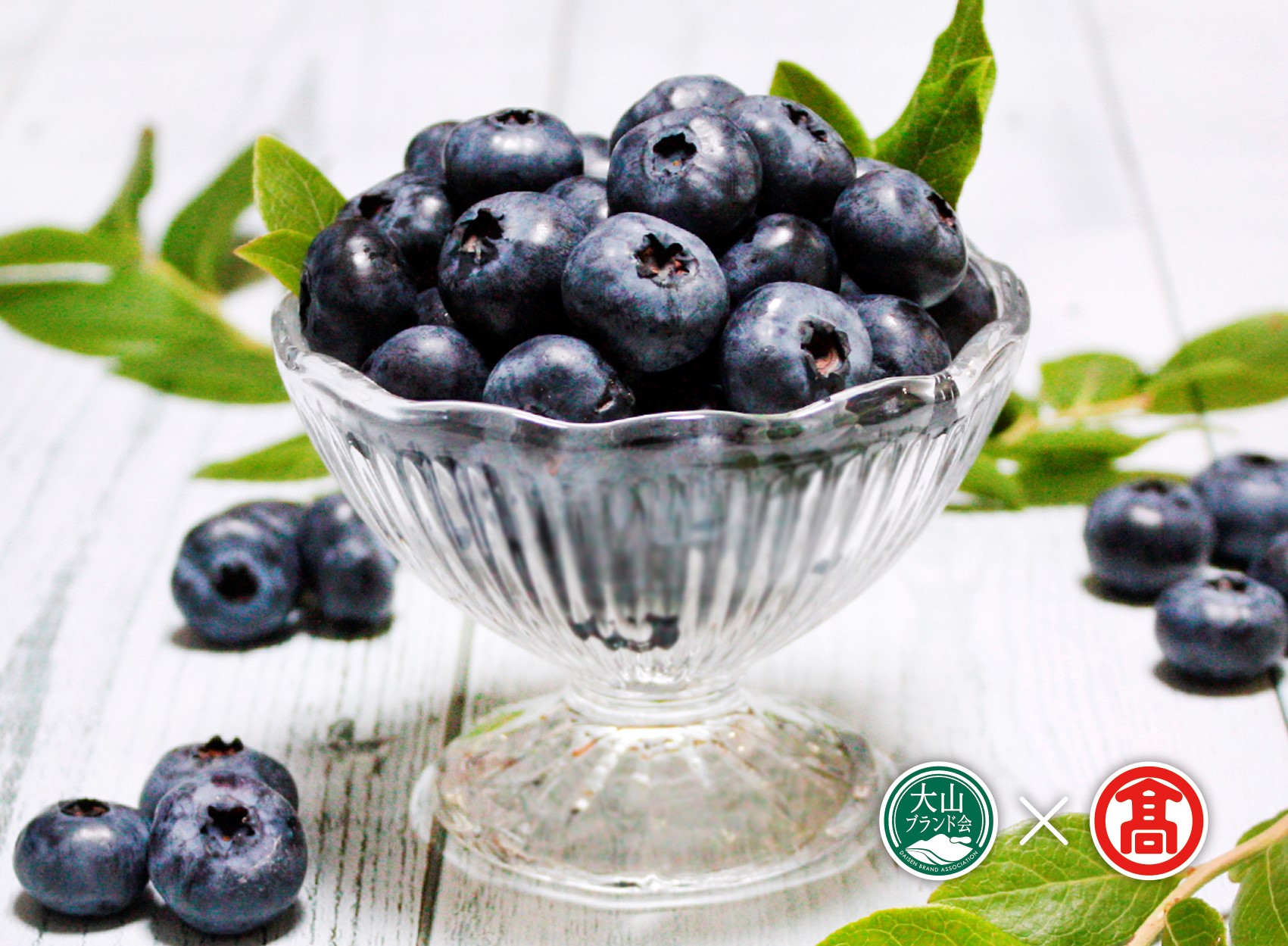冷凍ブルーベリー（大山ブランド会）奥大山ブルーベリーファーム 米子高島屋 19-BI4 0380