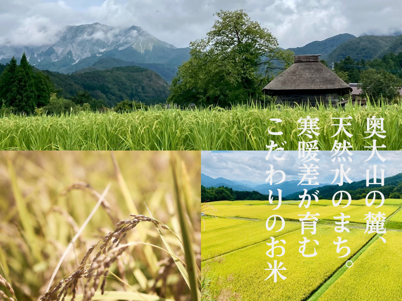 こしひかり5kg×2 計10キロ 鳥取県江府町産 こめ 精米 コシヒカリ 令和7年産 送料無料 0909