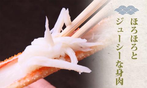【蒸し】タグ付き松葉ガニ 大2枚 (1枚800～940g 前後) 先行予約受付 ズワイガニ かに 11月上旬～3月上旬発送 TM2 0712