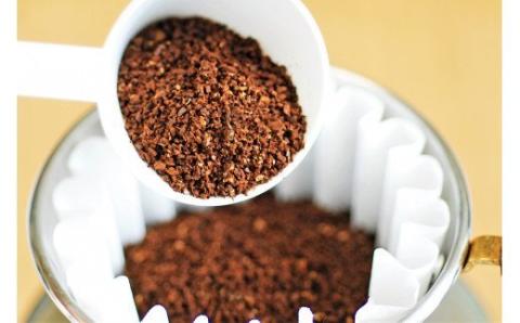 スペシャルブレンド ブナの森 粉 お試し70g コーヒー 奥大山の水洗い珈琲 0778