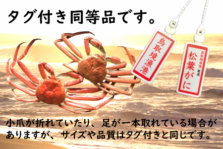 ミ(訳あり)ミ 蒸し松葉がに(ずわいがに) 4枚 冷蔵発送 カニ 境港 山芳海産 0502