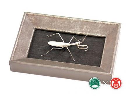 ＜tree frog＞銀の虫オブジェ カマキリ 額装 / metal insect series 185-BD5 0641