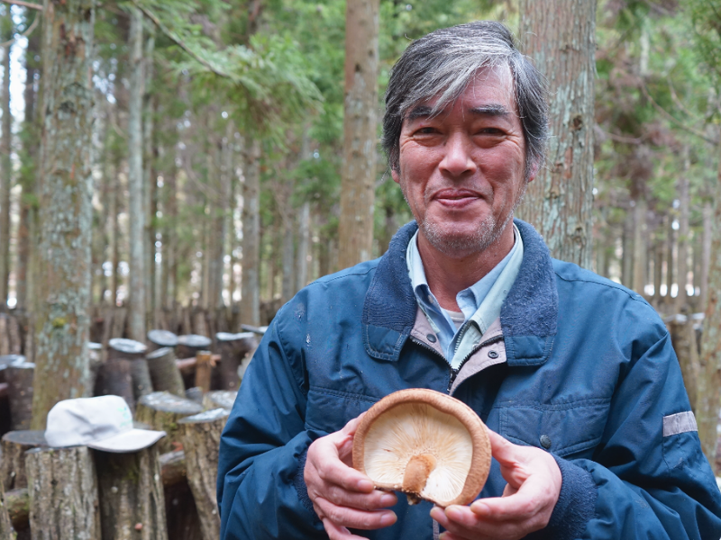 原木椎茸　生産者