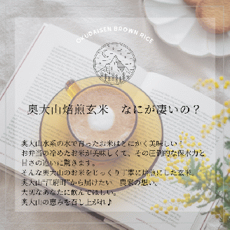 奥大山焙煎玄米 スティックタイプ(15本入り×2) ノンカフェイン 春の柚 0926