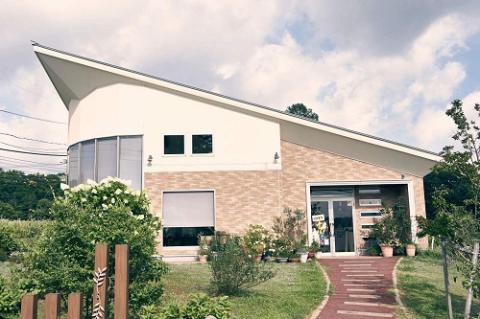 アペゼの焼きドーナツ２０個アソート CA2 0816