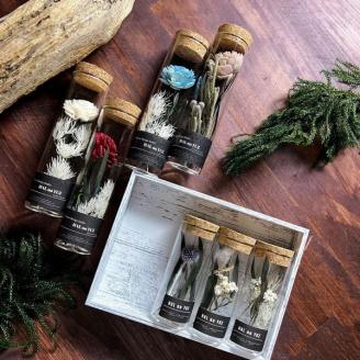 並べて可愛いコルク瓶のボタニカルフラワー　小さいサイズ　/　１点もの　小瓶　癒し　春の柚　0823