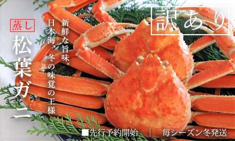 【蒸し】松葉ガニ 大2枚 訳あり ご自宅用 (1枚800～940g前後) ズワイガニ かに TM4 0714