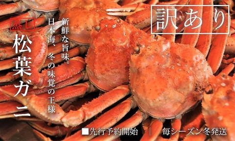 【蒸し】訳あり 足折れ松葉ガニ 計1kg前後 鳥取 ずわいがに カニ 訳アリ TM16 0726