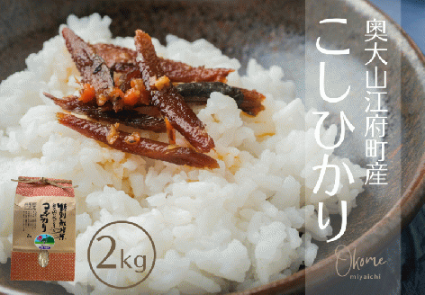 【令和7年産新米】コシヒカリ 2kg 特別栽培米 鳥取県江府町産 こしひかり 精米 産地直送 お試し2ｷﾛ 0930
