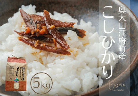 【令和7年産新米】コシヒカリ 5kg 特別栽培米 鳥取県江府町産 こしひかり 精米 産地直送 5ｷﾛ 0931