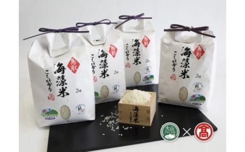 海藻米こしひかり（大山ブランド会）お米 コメ 送料無料 2kg×4 米子高島屋 77-BH1 0350