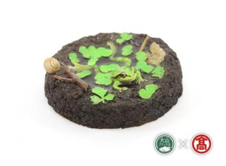 ＜カエル工房＞カエルフィギュア「雨蛙の水浴　模様あり｣（大山ブランド会）米子高島屋 50-BV1 0392