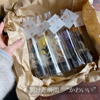 ドライフラワー ガラスのコルク瓶 ５本セット インテリア / かわいい カラフル なごみ １点モノ 春の柚 0863