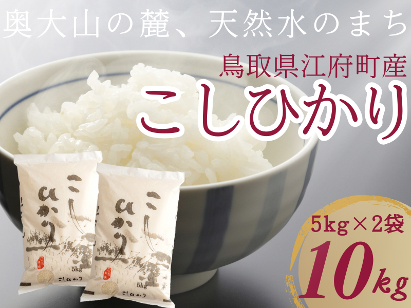 こしひかり5kg×2 計10キロ 鳥取県江府町産 こめ 精米 コシヒカリ 令和7年産 送料無料 0909
