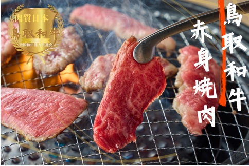 鳥取和牛赤身焼肉 計800g（400g×2）牛肉 やまのおかげ屋 KF1448 1149