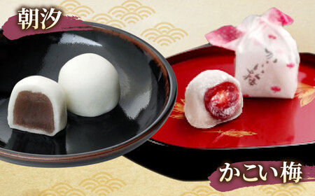 創業約200年の老舗和菓子店の和菓子6種詰め合わせ！【秀菓撰 熊野(くまの)】島根県松江市/有限会社桂月堂 [ALAP003] 和菓子