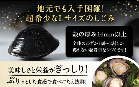 【全6回定期便】宍道湖産ヤマトシジミ(冷凍砂抜き済み)Lサイズ1kg×2袋(2kg) 島根県松江市/宍道湖漁業協同組合 [ALAZ004] しじみ
