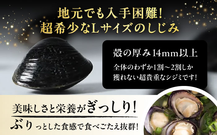 【全6回定期便】地元でも入手困難なレアサイズ！ Lサイズ 宍道湖産ヤマトシジミ(冷凍砂抜き済み)1kg×3袋(3kg) 島根県松江市/宍道湖漁業協同組合 [ALAZ007]