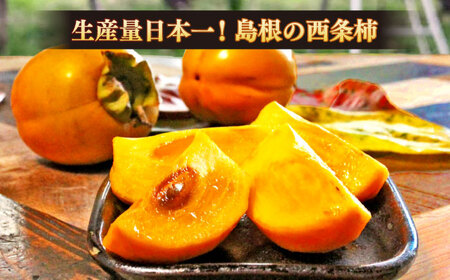 【先行予約】【2025年11月30日より順次発送】【数量限定80個】西条柿のドライフルーツと干し柿L セット 島根県松江市/須山農園 [ALBD002] 柿