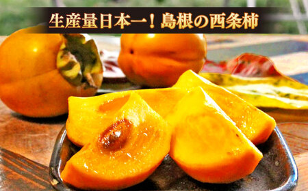 【先行予約】【2025年11月30日より順次発送】【数量限定80個】西条柿のドライフルーツ60g×6個 島根県松江市/須山農園 [ALBD003] 柿