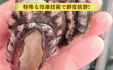 姫アワビとサザエの炊き込みごはんセット 島根県松江市/株式会社SOL JAPAN [ALBG001] 貝