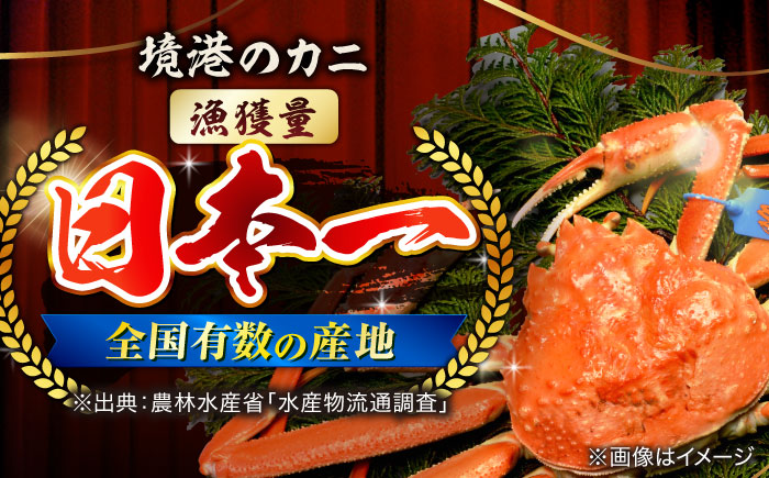 【年内発送】急速冷凍で旨みをぎゅっと閉じ込めた！松葉ガニボイル姿1.2kg以上(2～4枚) 島根県松江市/中浦食品株式会社 [ALBO003] カニ 蟹