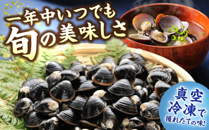 【全3回定期便】生産量日本一！宍道湖産 ヤマトシジミMサイズ（真空冷凍） 80g×15袋 島根県松江市/有限会社日本シジミ研究所 [ALBS003]