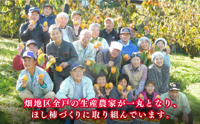 【ふるさと納税限定】東出雲の畑ほし柿 25個入 島根県松江市/畑ほし柿生産組合 [ALBV002] 柿