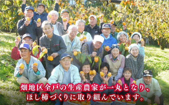 【ふるさと納税限定】東出雲の畑ほし柿 15個入 島根県松江市/畑ほし柿生産組合 [ALBV003] 柿