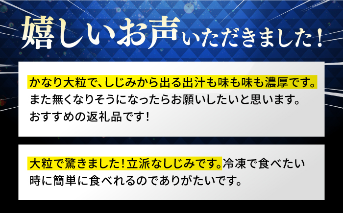 【年内発送】超希少！特大粒プレミアムサイズ 宍道湖産冷凍大和しじみ 特大粒500g×2袋 島根県松江市/平野缶詰有限会社 [ALBZ014] しじみ