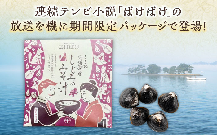 【年内発送】毎日食べたい！宍道湖産大和しじみの即席しじみ汁(合わせ味噌)46g×20袋 ～連続テレビ小説「ばけばけ」ロゴライセンス商品～島根県松江市/平野缶詰有限会社 [ALBZ045]